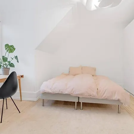 Luxurious And Bright Aartment In The City Center 코펜하겐