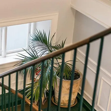 Apartment Luxurious And Bright Aartment In The City Center
