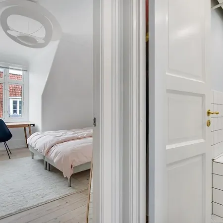 Apartment Luxurious And Bright Aartment In The City Center Copenhagen